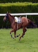 the-bookies-enemy-image