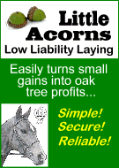 Little Acorns - Best Horse Racing System of 2016