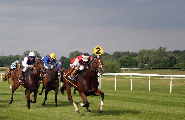 horse racing at high speed