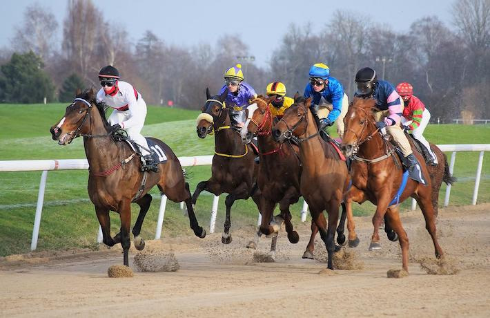 six jockeys racing horses