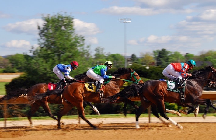 Group of horses and jockeys racing