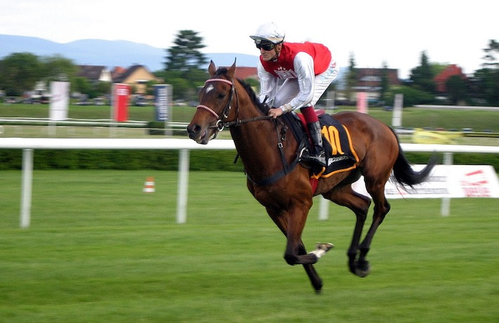 Jockey in red and white on horse