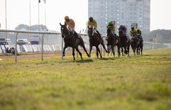 Horses racing in a line