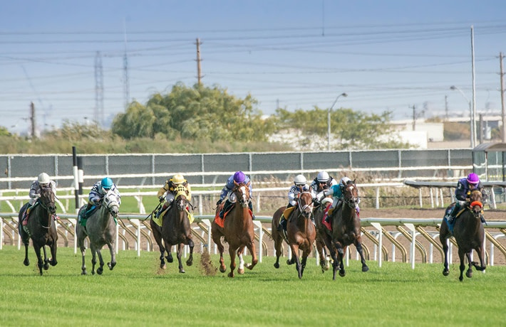 Horse race in action