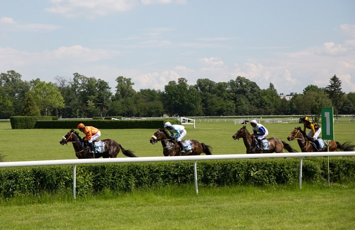 Four horses in a race