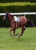 the-bookies-enemy-image
